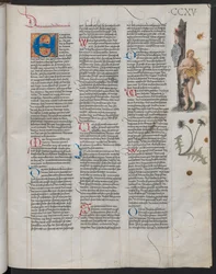 Das Ambraser Heldenbuch, folio 215r